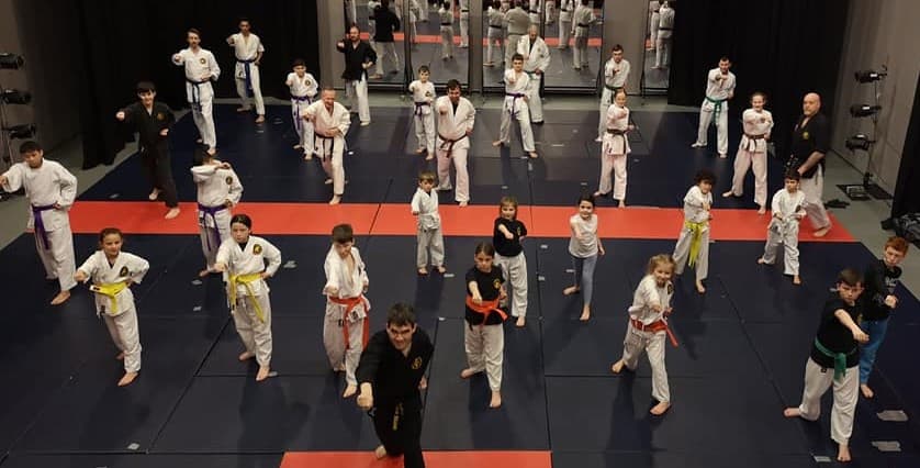 Group of martial arts students from all ages stood and kneeling together