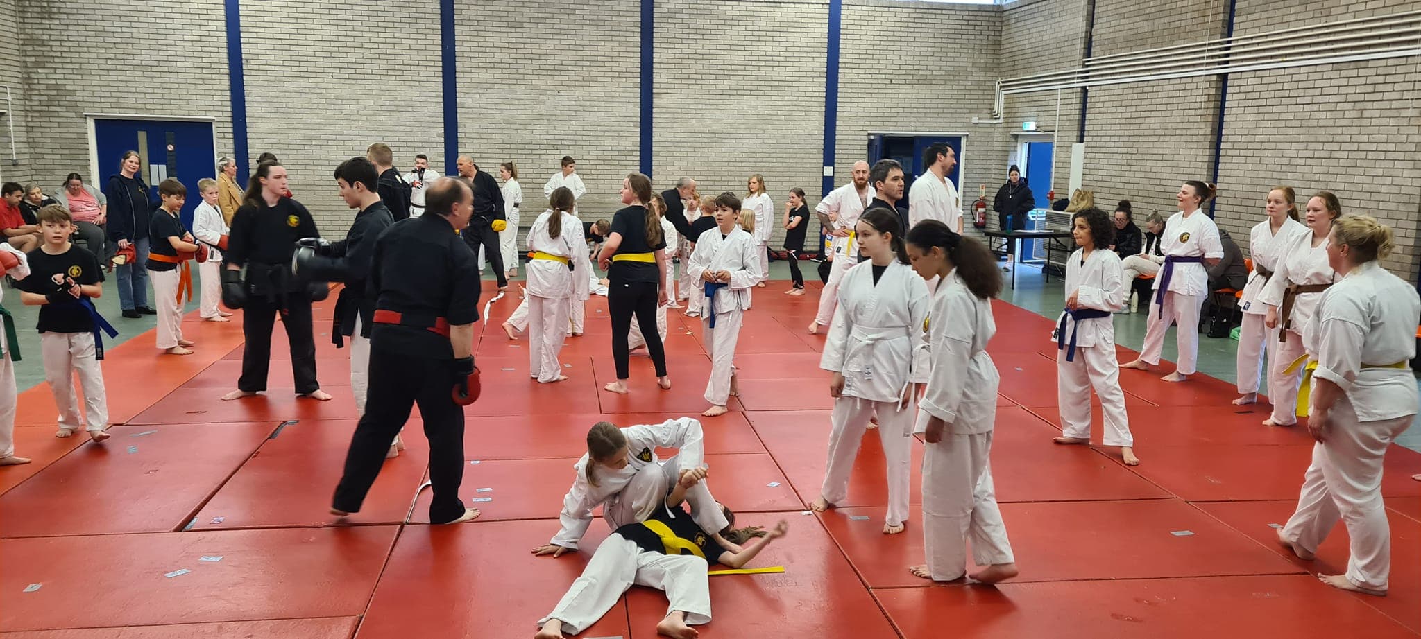 Group of martial arts students from all ages stood and training together